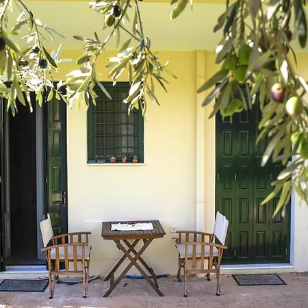 Elia Chrisso Pensión