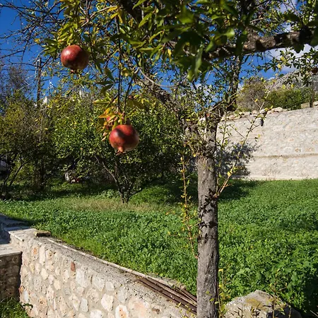 Pensión Elia Chrisso 4*