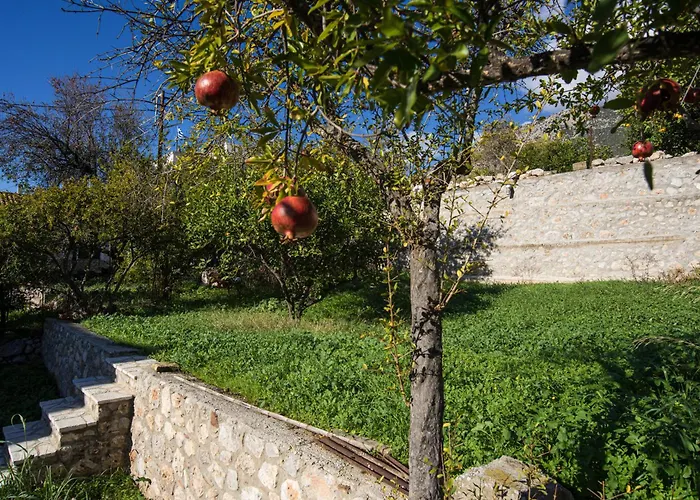 Pensión Elia Chrisso 4*